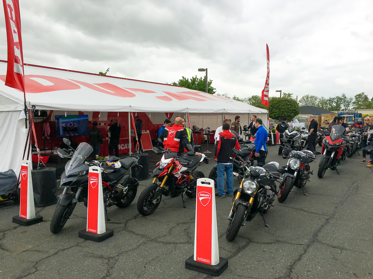 lineup